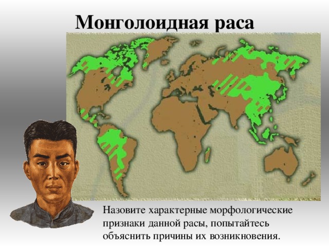 Монголоидная раса Назовите характерные морфологические признаки данной расы, попытайтесь объяснить причины их возникновения. 