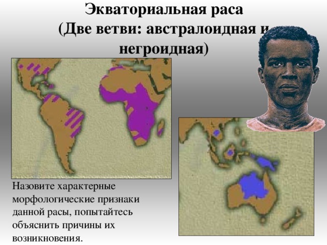 Экваториальная раса  (Две ветви: австралоидная и негроидная) Назовите характерные морфологические признаки данной расы, попытайтесь объяснить причины их возникновения. 