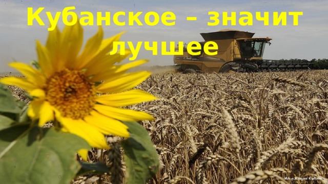 Кубанское – значит лучшее 