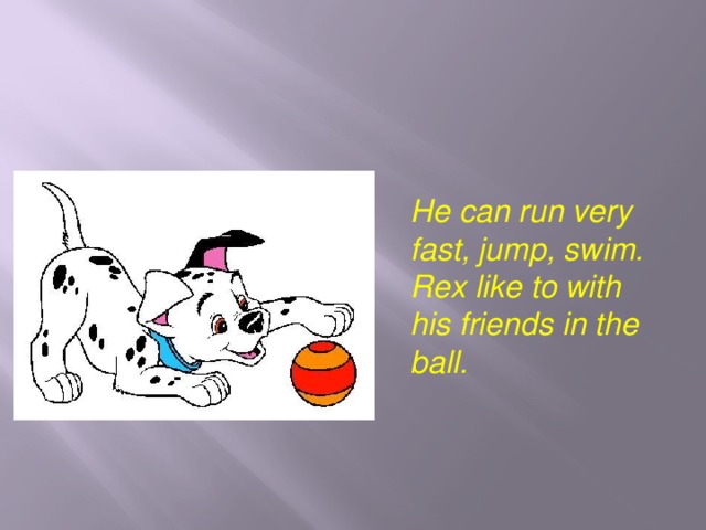 He can run very fast, jump, swim. Rex like to with his friends in the ball. 
