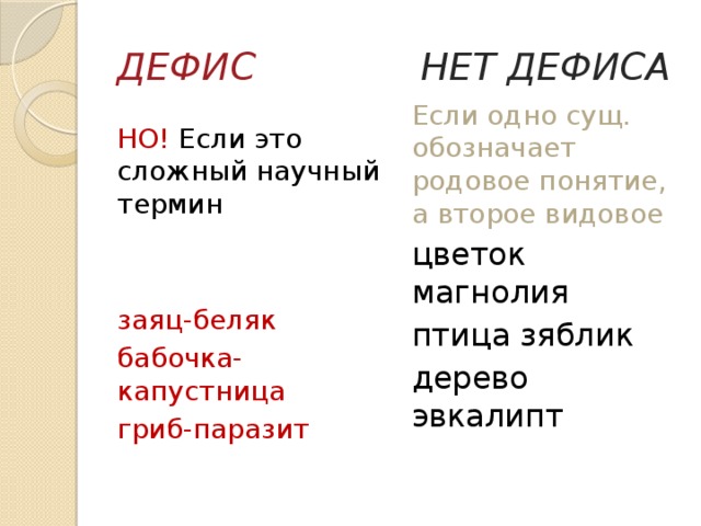 ДЕФИС НЕТ ДЕФИСА НО! Если это сложный научный термин Если одно сущ. обозначает родовое понятие, а второе видовое цветок магнолия птица зяблик заяц-беляк дерево эвкалипт бабочка-капустница гриб-паразит 