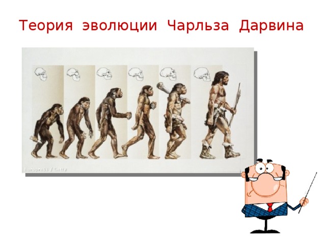 Теория эволюции Чарльза Дарвина 