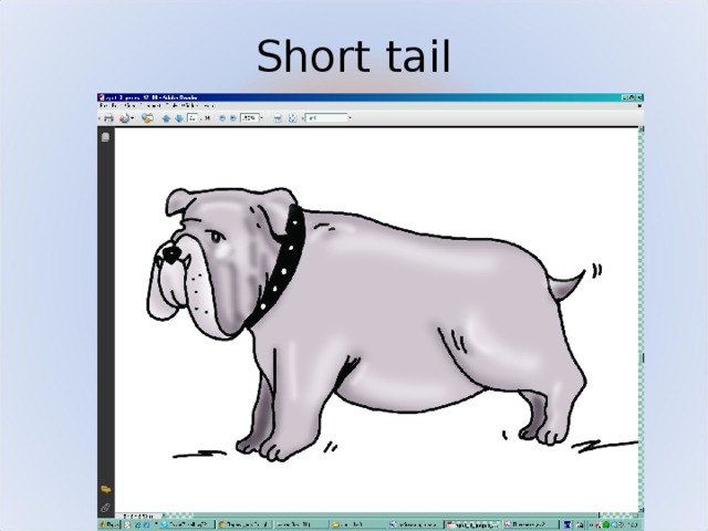 It s a short tail