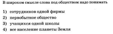 Под обществом в широком смысле