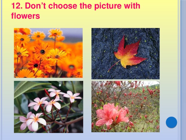 12. Don’t choose the picture with flowers 