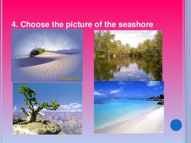 4. Choose the picture of the seashore 