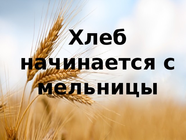 Хлеб начинается с мельницы 