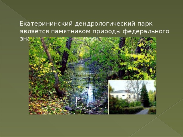  Екатерининский дендрологический парк является памятником природы федерального значения. 