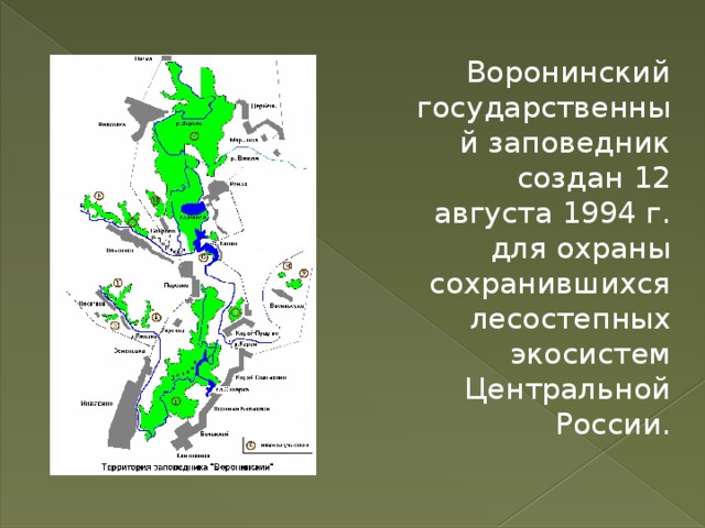 Воронинский государственный заповедник создан 12 августа 1994 г. для охраны сохранившихся лесостепных экосистем Центральной России. 