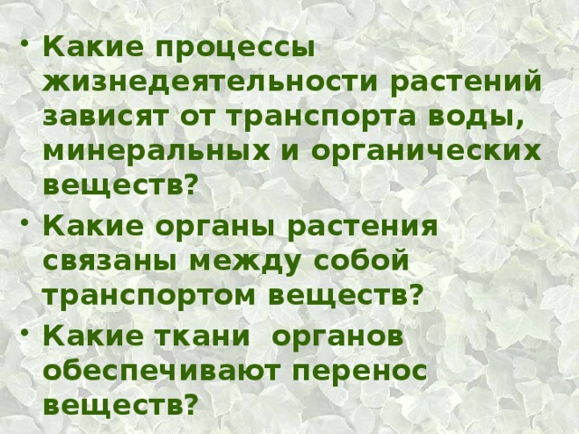 От чего зависит растения