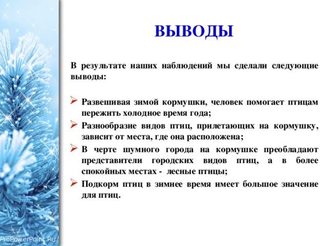 Проект по биологии на тему наблюдение за птицами