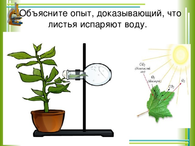 Какой процесс иллюстрирует рисунок