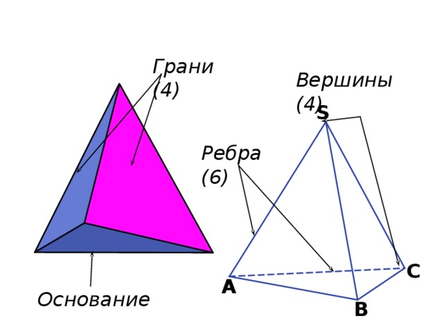Грани (4) Вершины (4) S Ребра (6) С А Основание В 