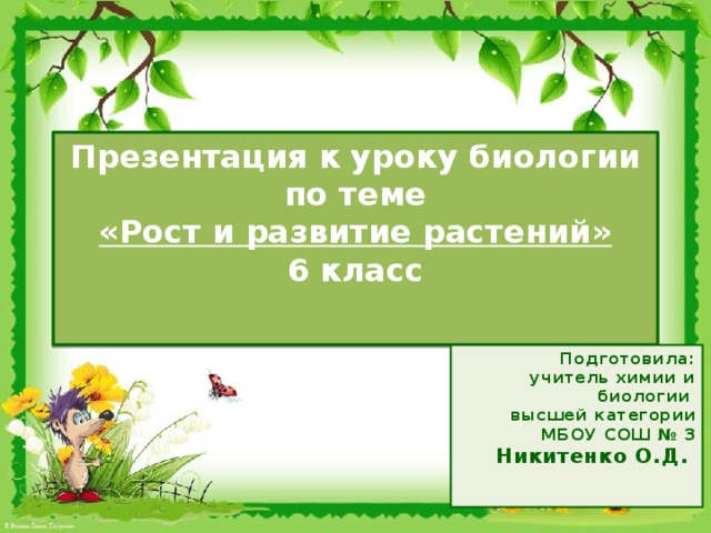 Презентация по биологии 6 класс рост и развитие растений пономарева