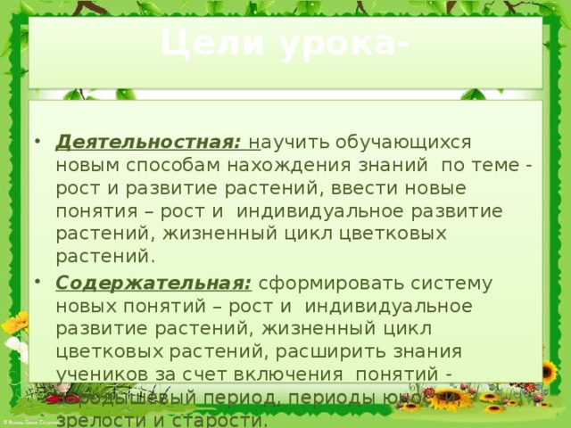 Вывод индивидуальное развитие цветкового растения