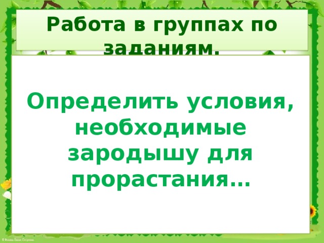 Работа в группах по заданиям.  Определить условия, необходимые зародышу для прорастания…