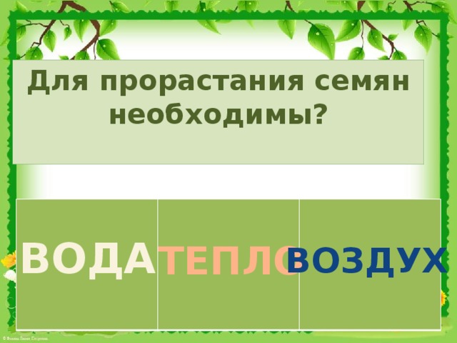 Для прорастания семян необходимы? ВОДА ТЕПЛО ВОЗДУХ