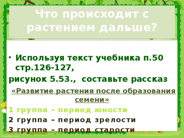 Что происходит с растением дальше?  Работа в группах Используя текст учебника п.50 стр.126-127, рисунок 5.53., составьте рассказ  «Развитие растения после образования семени» 1 группа – период юности 2 группа – период зрелости 3 группа – период старости