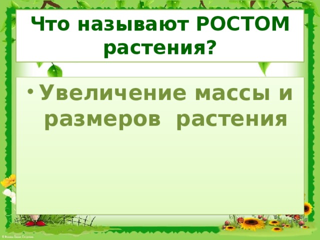 Что называется ростом. Что называют ростом растения. Рост растений называется. Как называется рост растений. Увеличение размеров и массы растений - это.