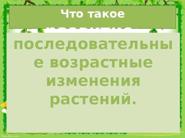 Что такое развитие ? последовательные возрастные изменения растений.