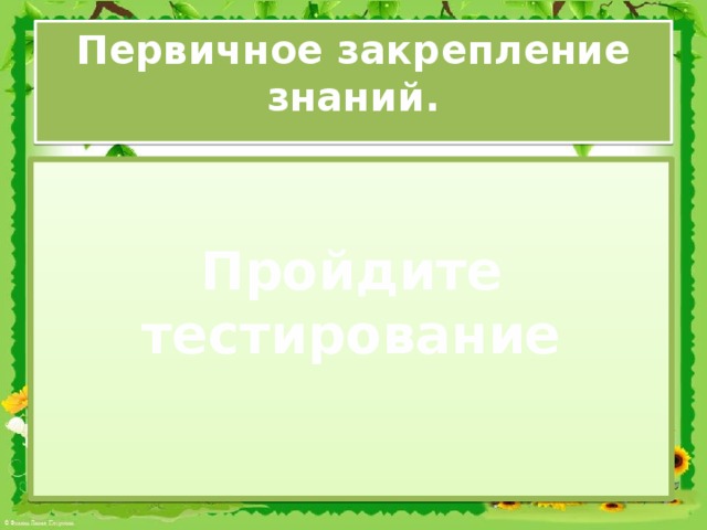 Первичное закрепление знаний. Пройдите тестирование