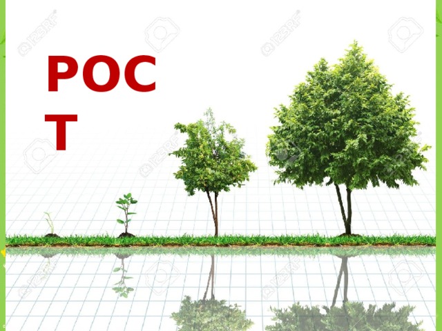 РОСТ