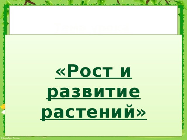 Тема урока  «Рост и развитие растений»