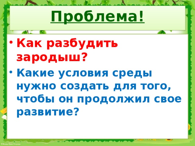 Проблема!