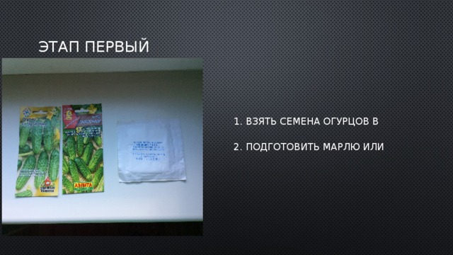 этап первый  1. Взять семена огурцов в количестве 20 штук.  2. Подготовить марлю или тряпочку. 