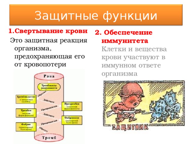 Защитные функции организма презентация