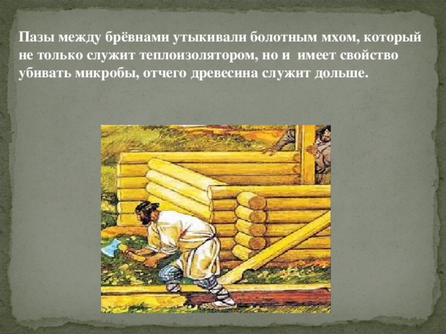 Пазы между брёвнами утыкивали болотным мхом, который не только служит теплоизолятором, но и имеет свойство убивать микробы, отчего древесина служит дольше. 