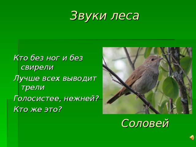 Звуки издают деревья. Какие звуки издают деревья. Какие звуки издают деревья 1 класс. Какие звуки издают деревья окружающий. Какие звуки издают деревья в лесу.