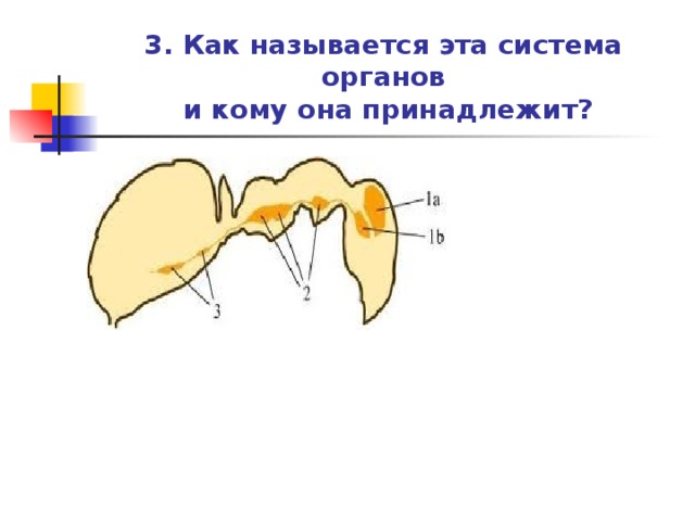 Практическая работа распознавание