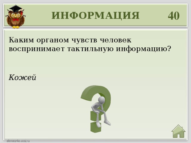 40 ИНФОРМАЦИЯ Каким органом чувств человек воспринимает тактильную информацию? Кожей 