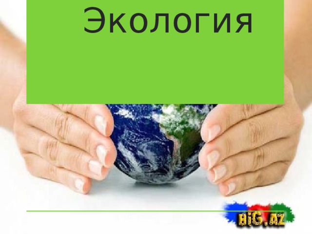 Экология