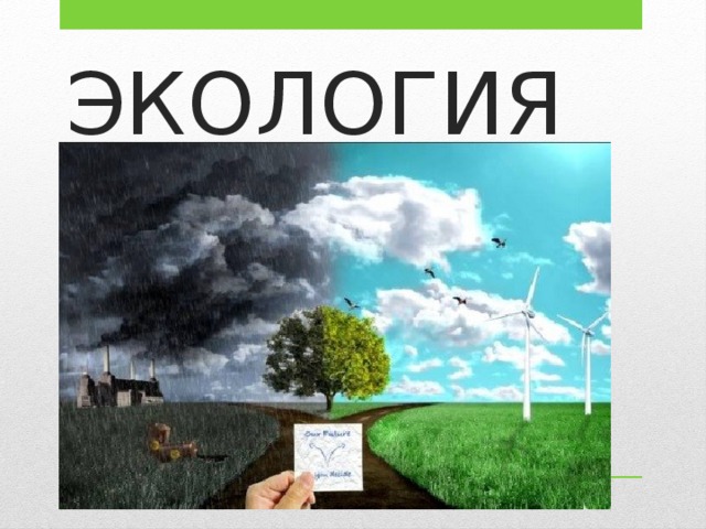 ЭКОЛОГИЯ