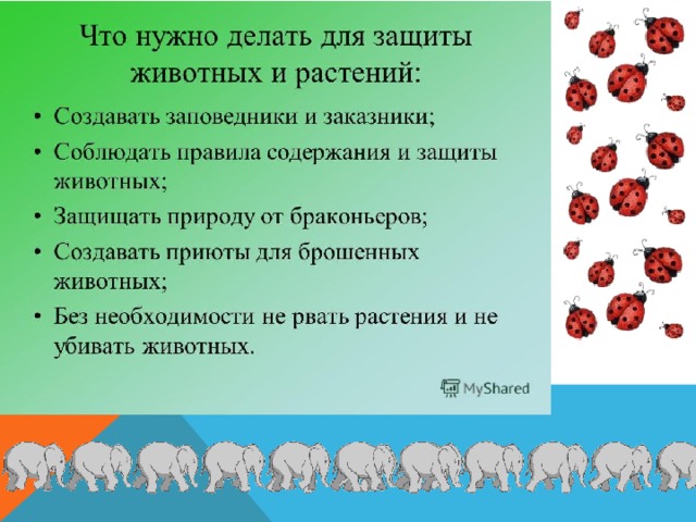 Презентация охрана животных 3 класс окружающий мир школа россии