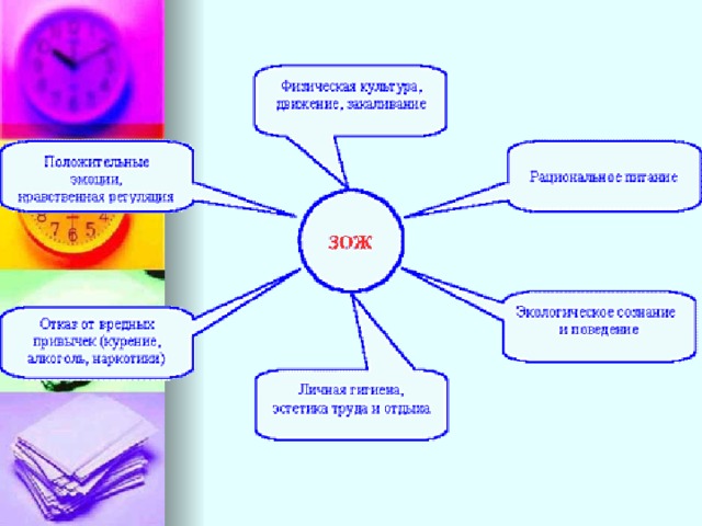 Карта зож заполненная