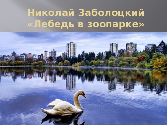 Николай Заболоцкий  «Лебедь в зоопарке» 