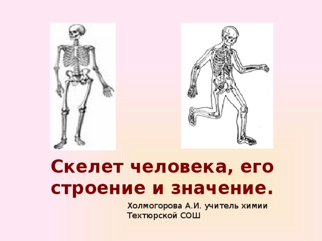 Значение скелета человека. Скелет человека презентация к уроку. Гигиена скелета человека.