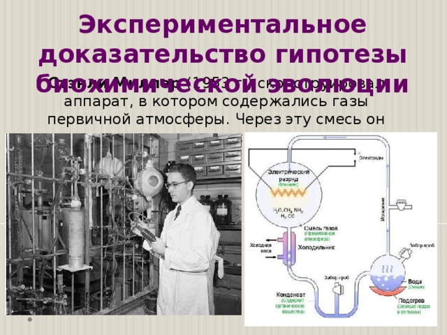 Какие экспериментальные доказательства можно привести в подтверждение. Экспериментальное подтверждение газов. Экспериментальное подтверждение вакуум. Гипотеза биохимической эволюции. Гипотеза биохимической эволюции доказательства.