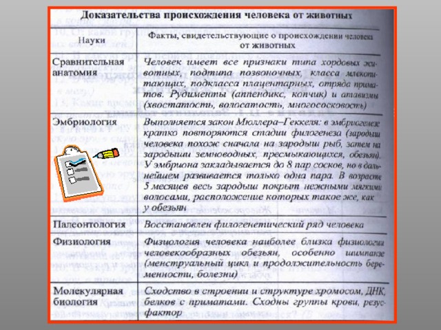 Привести примеры происхождения человека