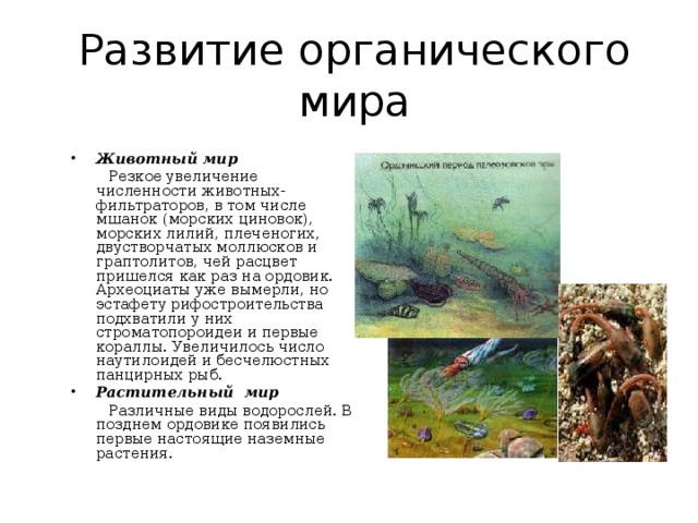 Краткая история развития органического мира презентация