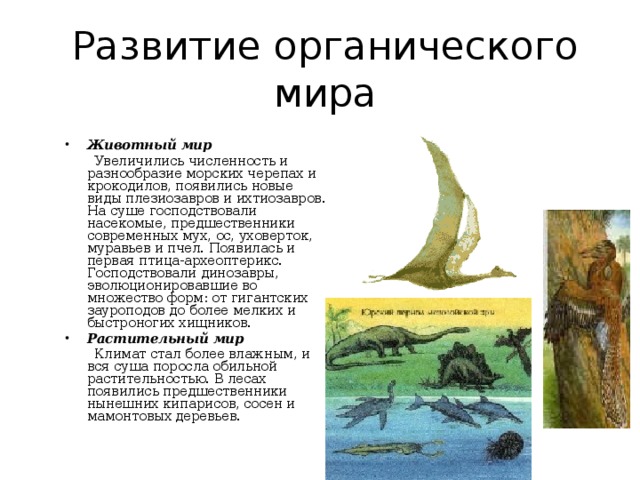 Основные этапы эволюции органического мира на земле презентация 11 класс