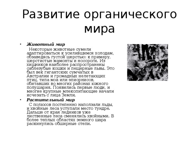 Основные этапы эволюции органического мира презентация