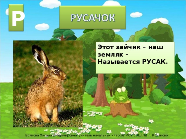Р Этот зайчик – наш земляк – Называется РУСАК.  Бойкова Оксана Владимировна, учитель начальных классов МОУ СОШ №1 г. Конаково 