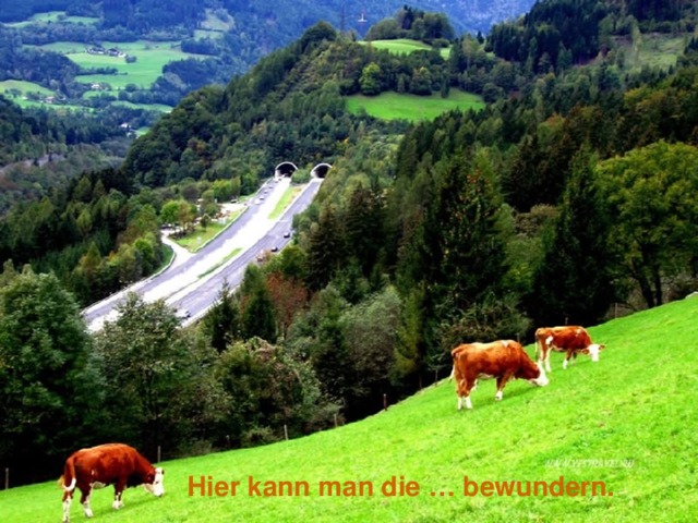 Hier kann man die … bewundern. 