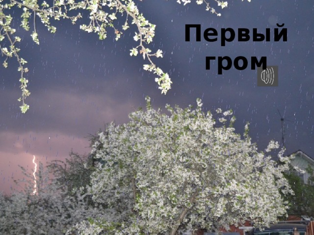 Толя орлов по прозвищу гром гремит сидел на табурете возле кровати