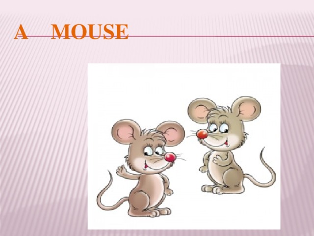 A MOUSE 