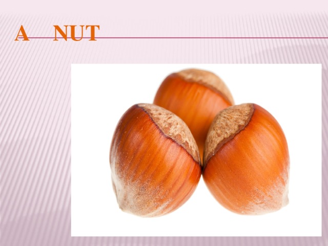 A NUT 